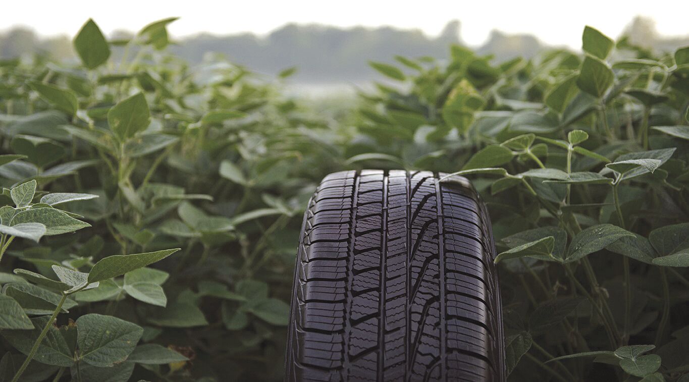 Soybean tire